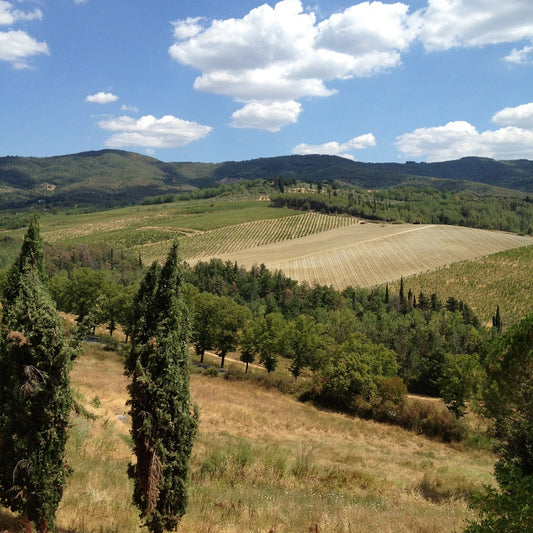 Terroir and Italian Wine: An Extraordinary Bond