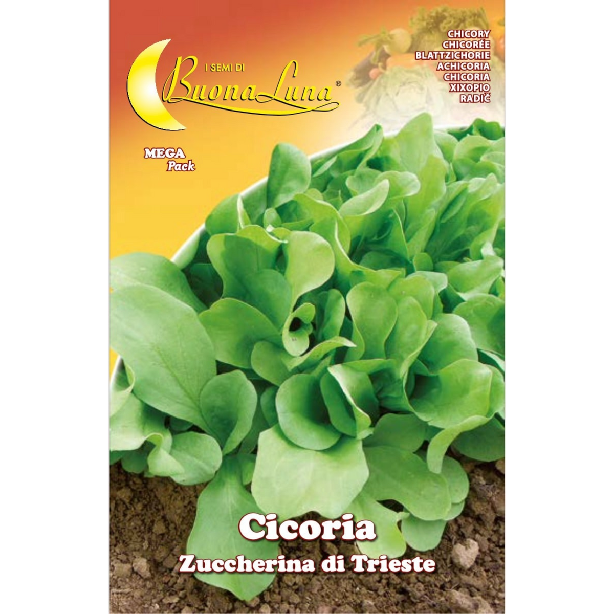 Buona Luna Trieste Sweet Chicory Seeds – Cicoria Zuccherina di Trieste